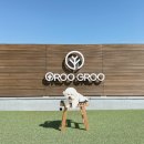 놀이터 반려견 미용실 이미지