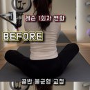 내포체형관리 네이버블로그