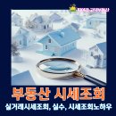 강화부동산중개인사무소 | 실거래가로 부동산 시세 파악법과 실수. 실전 노하우