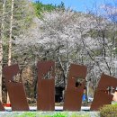 국립희리산해송자연휴양림 네이버블로그