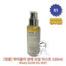 와이즐리