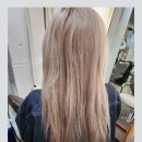 제이와이하우스 이미지