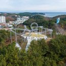 환호공원 티스토리