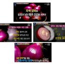 강진도깨비농장 이미지