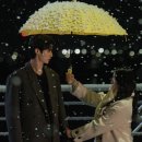 통통이네 이미지