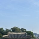 창경빌딩 | 6/8(일) 창덕궁 답사기 🌿 @창덕궁 후원, 청계천, 광화문