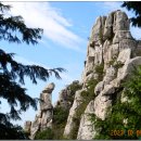 남해-309 이미지