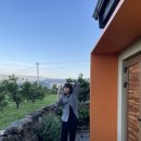 미깡밭스테이삼삼은구 | 제주도일주일살기 돌담숙소 제주동쪽돌담집 &#34;미깡밭스테이&#34;