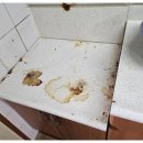 반짝클린청소 이미지