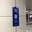 공원/에버랜드]1설날눈치게임,할인,가는법,어트랙션(놀이기구),판다월드,간식,에버랜드실외 자세한 후기