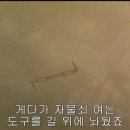 소노코로