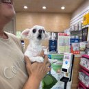 최광호동물병원 이미지