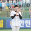 한밭야구장 티스토리