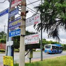 사파동275 이미지