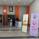 광주엠플러스카케어센터 | 광주 캠핑 케어 2026 더 캠핑쇼 in 광주 / 캠핑소품, 에어매트, 에어텐트, 캠핑카