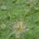 260623 과제 : 다중촬영 / Motion Blur / Zooming 이미지