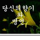 향기 이미지