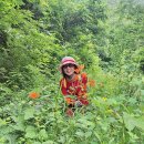 천반산길 이미지