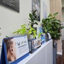 굿모닝보청기 부천원미센터 | 속상하지만 따뜻했던 부천 나들이 <굿모닝보청기 부천원미센터>방문후기:)!!