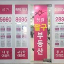 창원팔구부동산공인중개사사무소 이미지
