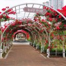 도시공원 이미지