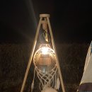 코오롱애견 이미지