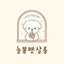 늘봄펫살롱