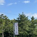 금능이모네 | [제주도 맛집] 금능이모네 보말죽 전복죽 내돈내산 솔직후기