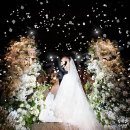 종합축사 | 청사 청심홀 결혼식 본식스냅 후기 | 2026년 4월 예식 촬영 | 법원종합청사웨딩홀 | 서울고법웨딩...