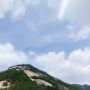 한솔향
