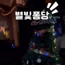 별빛퐁당