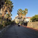 점보빌리지 | 아이와 가기 좋은 제주도 점보빌리지 후기, 코끼리 공연부터 먹이체험까지(ft. 제주패스)