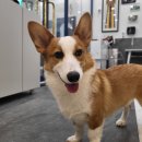 남악유치원 이미지