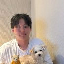 예쁜옷집중앙시장제52호 - 중구 퇴계로85길 12-8 | [임산부&애견동반(속초여행) Day3] 카시아호텔 조식+Horizon케이크+감자옹심이(강추&애견동반)