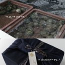 주정차단속-010 이미지