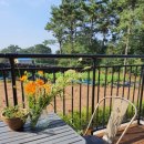 하늘숲민박 이미지