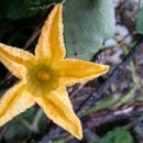 서수농장 이미지