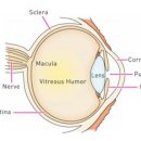 바른동물병원 이미지