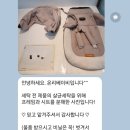 가야세탁마트 이미지