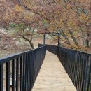 황금터부동산중개사무소 이미지