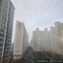 본리유리