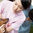 전병준동물병원 이미지