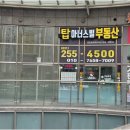 북수원탑자이부동산공인중개사사무소 | 북수원 교통 및 생활 인프라 핫스팟: 신분당선수성중사거리역(가칭)부동산 팁