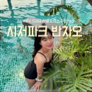 1706호(ROOM1706) | [공지] 대만 타이베이 숙소 추천｜시저 파크 반차오 5성급 호텔 수영장 호캉스 후기