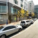 덕풍동로 이미지