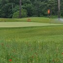 홀인원목장 | 스마트KU 골프파빌리온CC 후기 | 남편의 홀인원 추억이 있는 파주 27홀 골프장 ⛳
