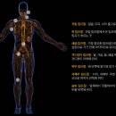 (주)에스메디글로벌 이미지