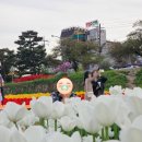 수선화모텔 이미지