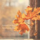 요가(기초야간) | 📌일산 주엽동 자세교정 전문 아무브 요가 - 환절기 무기력 해소와 활력을 채우는 요가