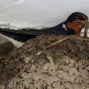 수옥경로당 이미지